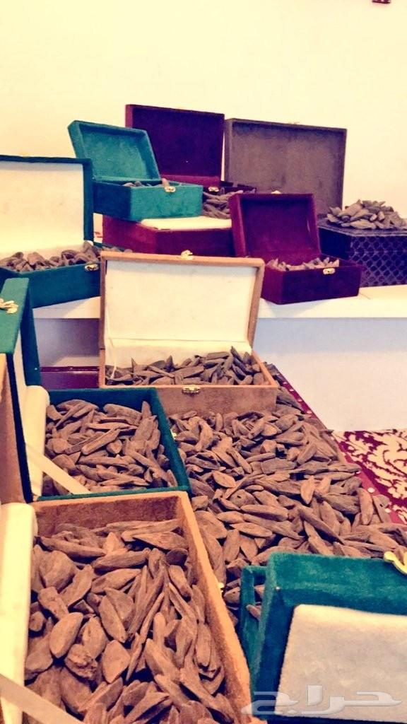 عود كلمنتان طبيعي محسن بأسعار تنافسية