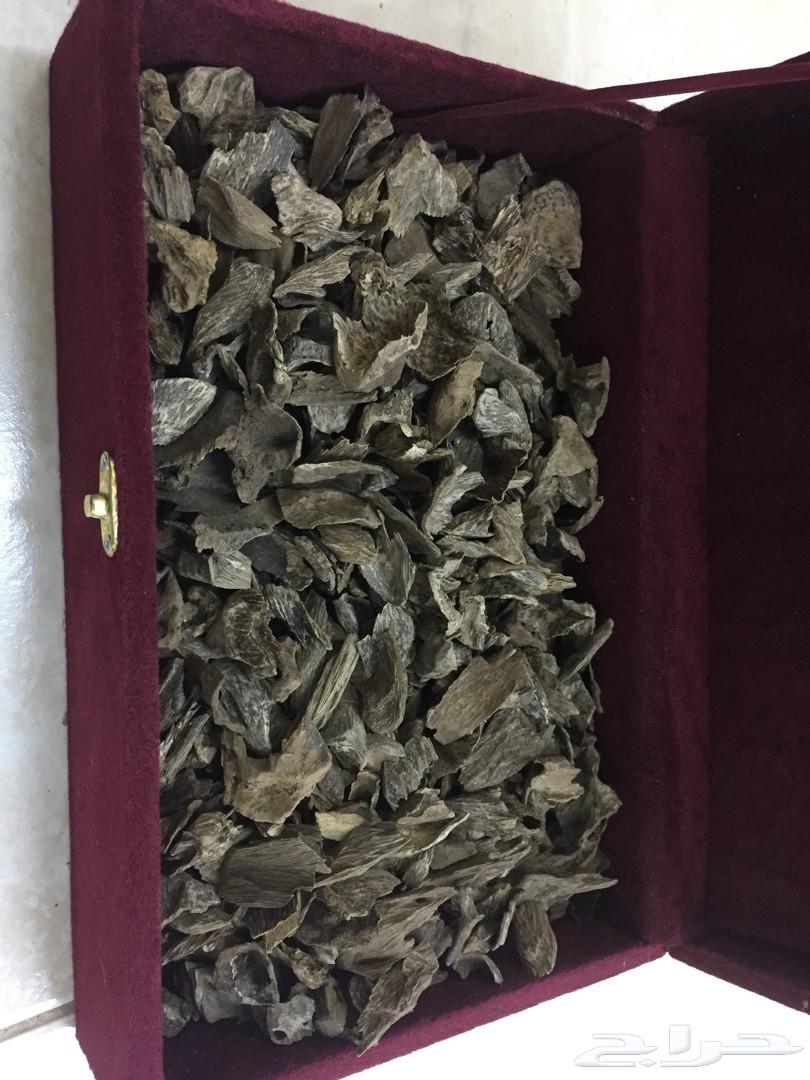 عود كلمنتان طبيعي محسن بأسعار تنافسية