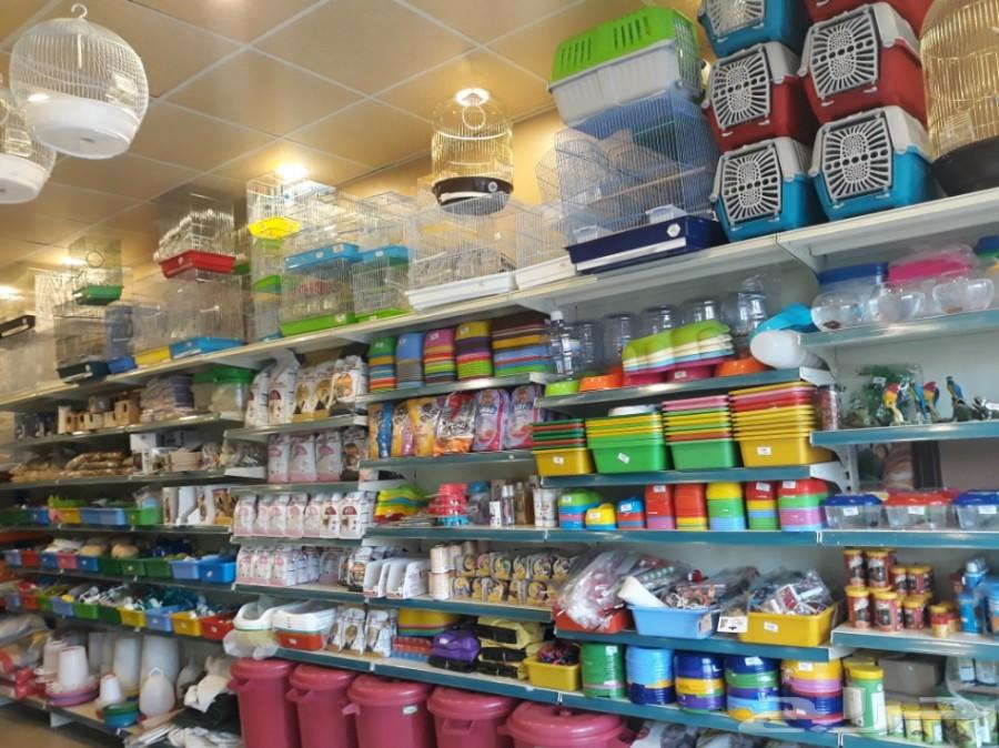 يتوفر أكل ومستلزمات القطط نوادر خميس مشيط