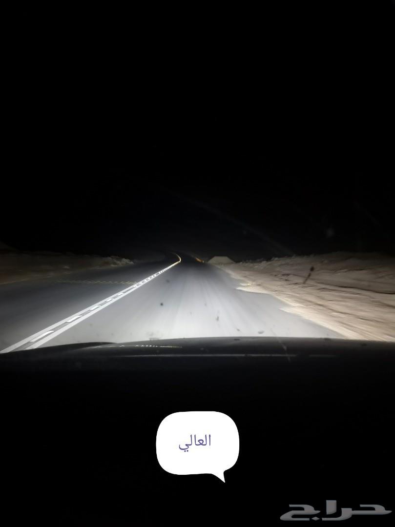 انوار ليد شرايح فيلبس للايسوزو ديماكس