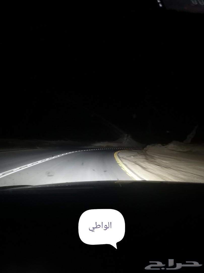 انوار ليد شرايح فيلبس للايسوزو ديماكس
