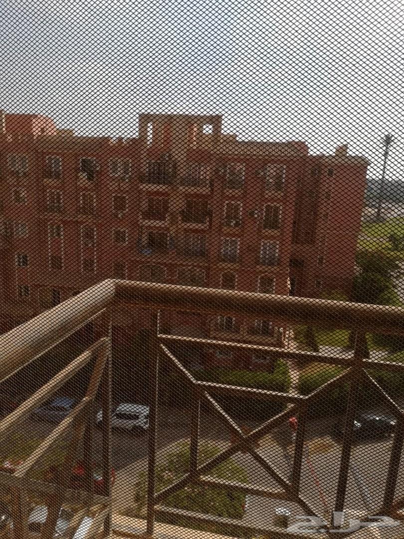 شقه ب مصر للبيع