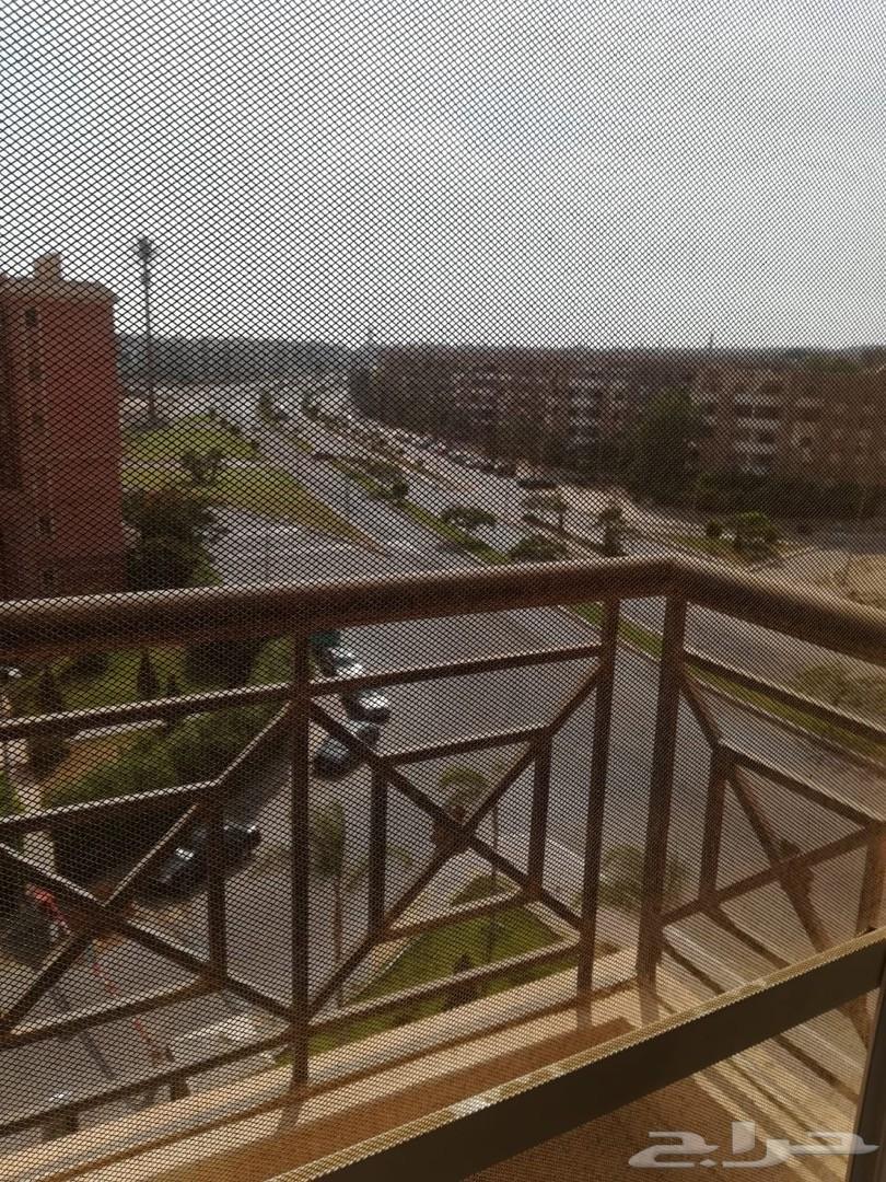 شقه ب مصر للبيع