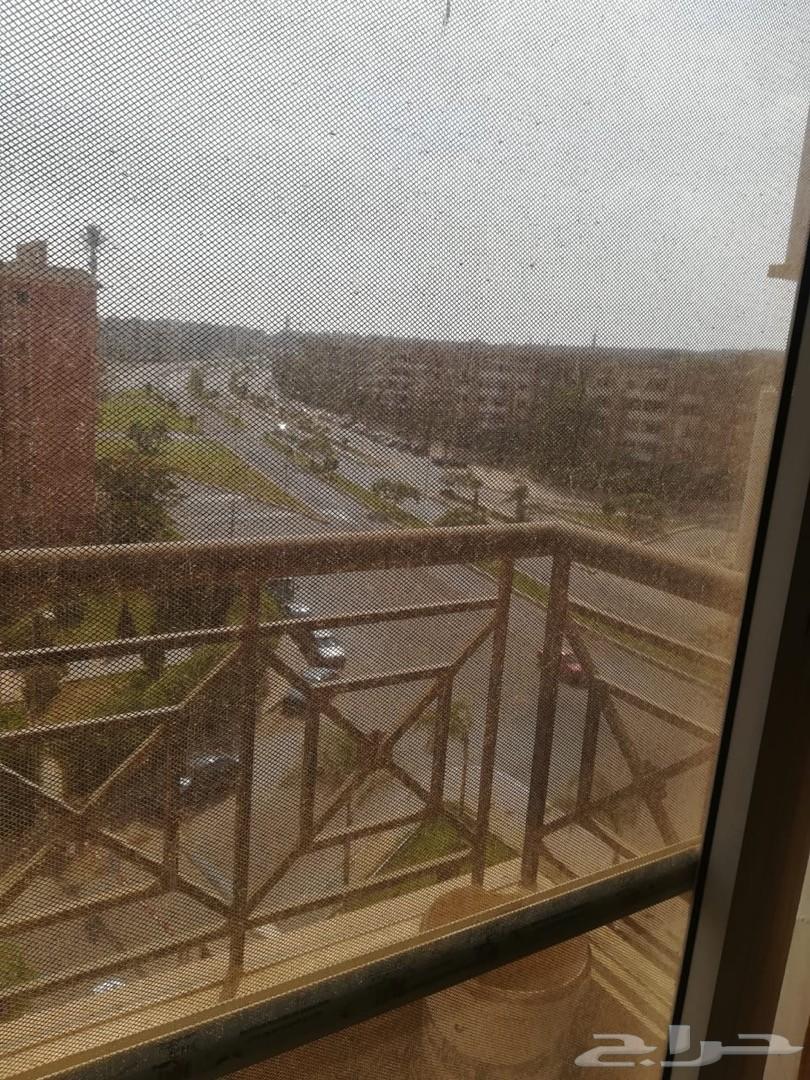 شقه ب مصر للبيع