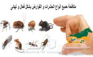 شركة مكافحة حشرات بالرياض رش مبيد بالضمان