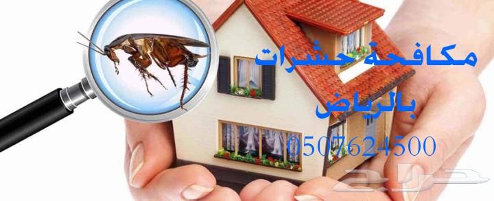 شركة تنظيف كنب سجاد شقق فلل بالرياض رش مبيدات