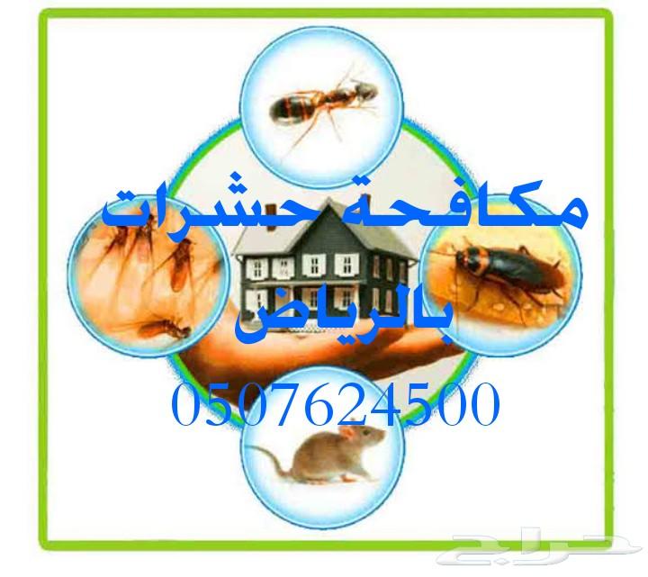 شركة تنظيف كنب سجاد شقق فلل بالرياض رش مبيدات