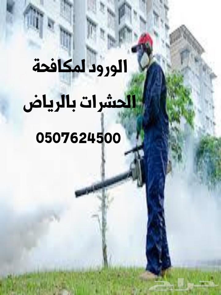 شركة تنظيف كنب سجاد شقق فلل بالرياض رش مبيدات