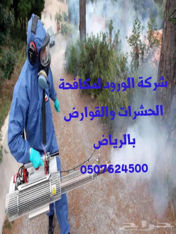 شركة تنظيف كنب سجاد شقق فلل بالرياض رش مبيدات