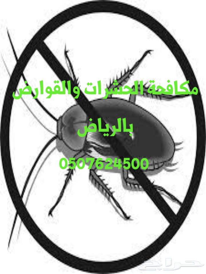 شركة تنظيف كنب سجاد شقق فلل بالرياض رش مبيدات