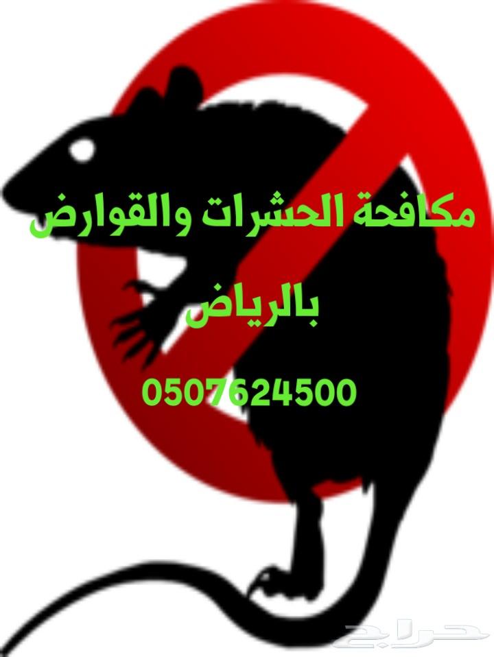 شركة تنظيف كنب سجاد شقق فلل بالرياض رش مبيدات