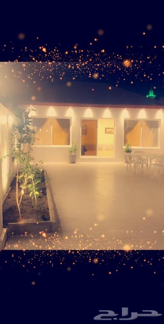 هلا بأولادك في استراحة زوارة بالطائف