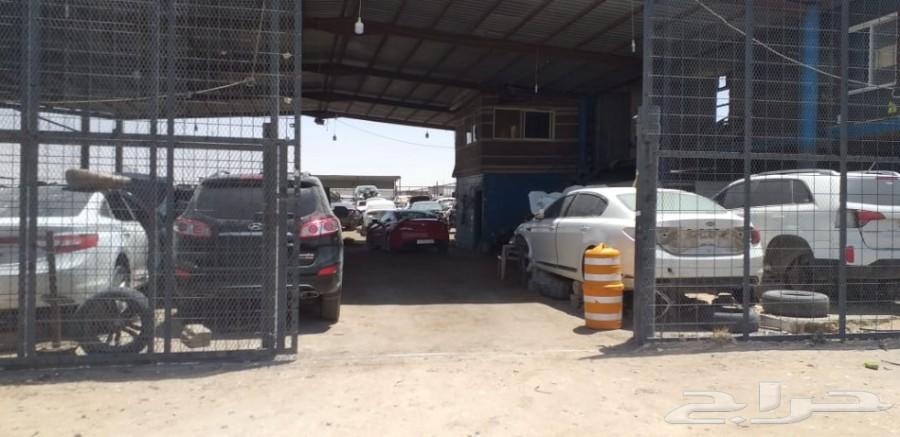 باب كادينزا 2018 (خلفي-امامي) ب2000 ريال