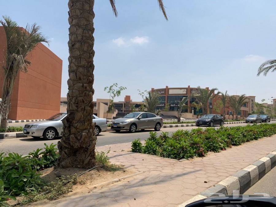 لمحبي الرقي شقة في الرحاب بالقاهرة
