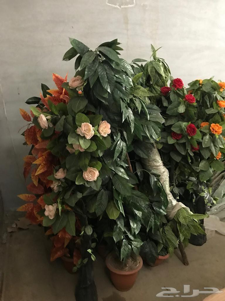 أجهزة كهربائية واثاث وتجهيزات شقق مفروشة