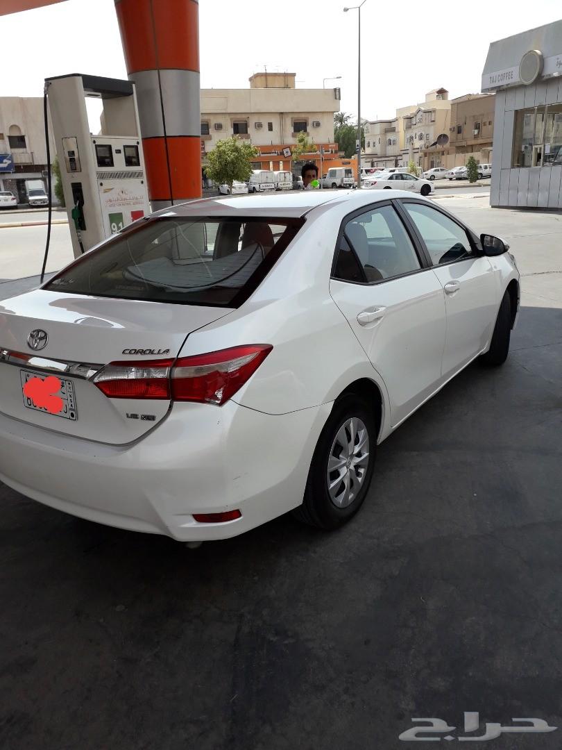 الرياض