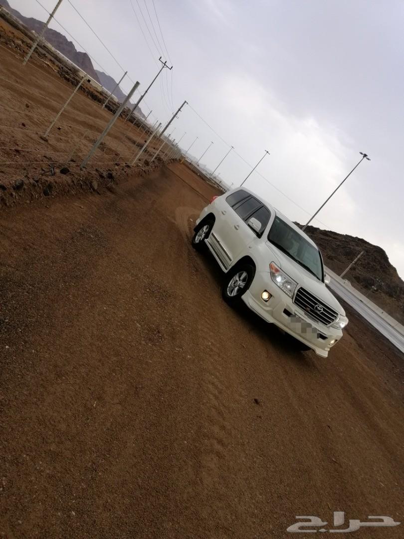 جكسار2013 بريمي