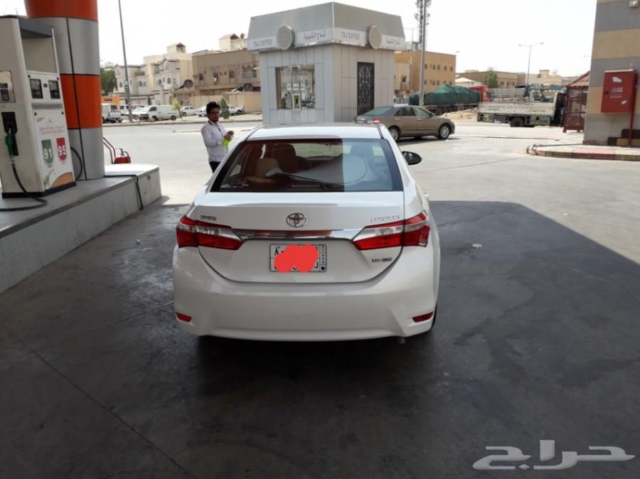 الرياض