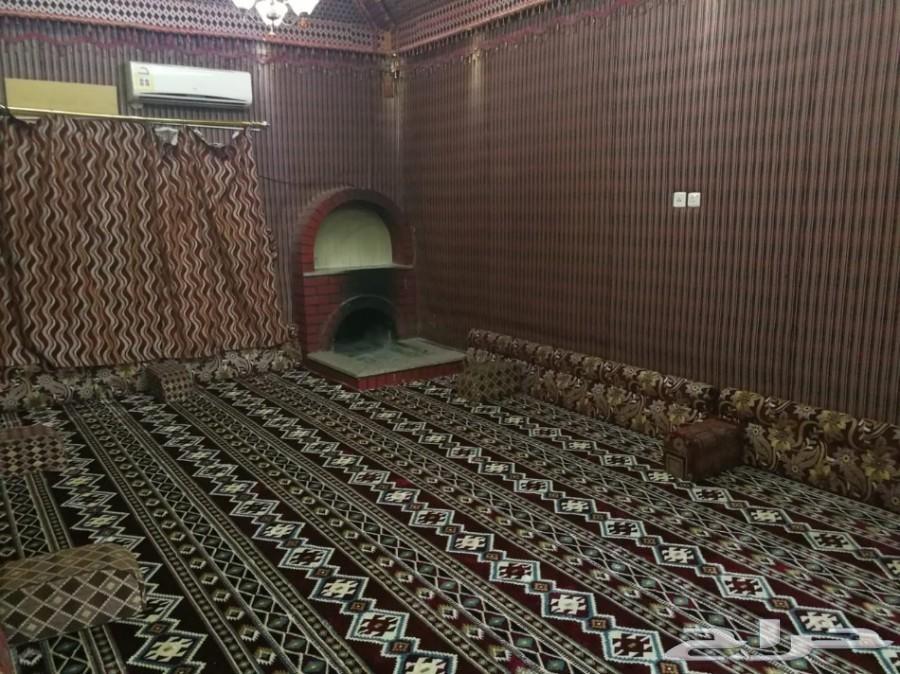 شقق واستراحات مفروشة عزاب راقية للايجار