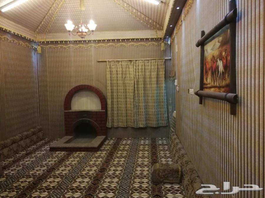 شقق واستراحات مفروشة عزاب راقية للايجار