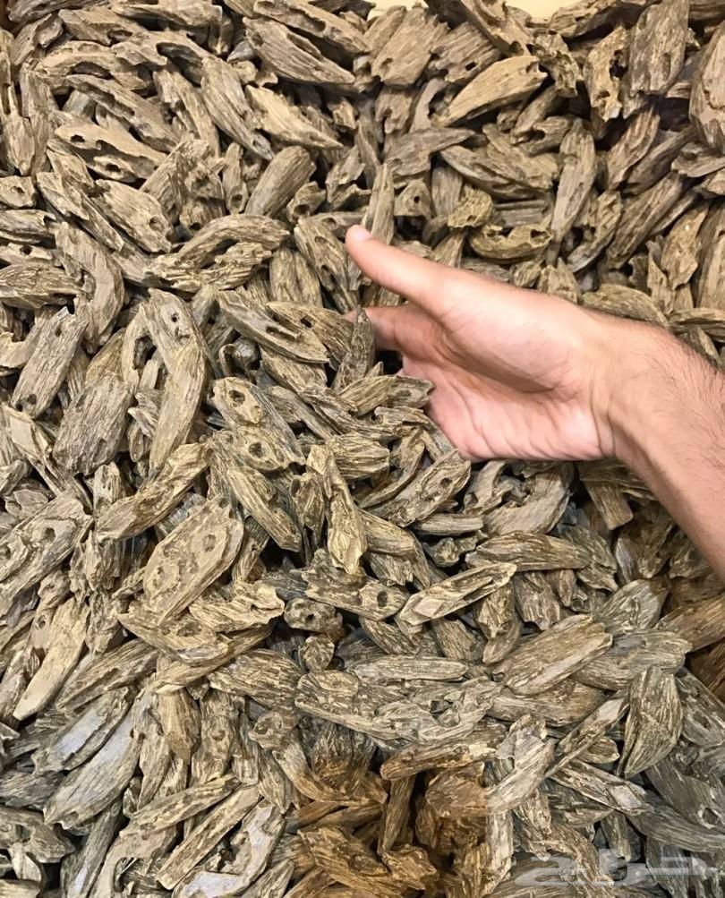 بخور عود VIP بيع جملة