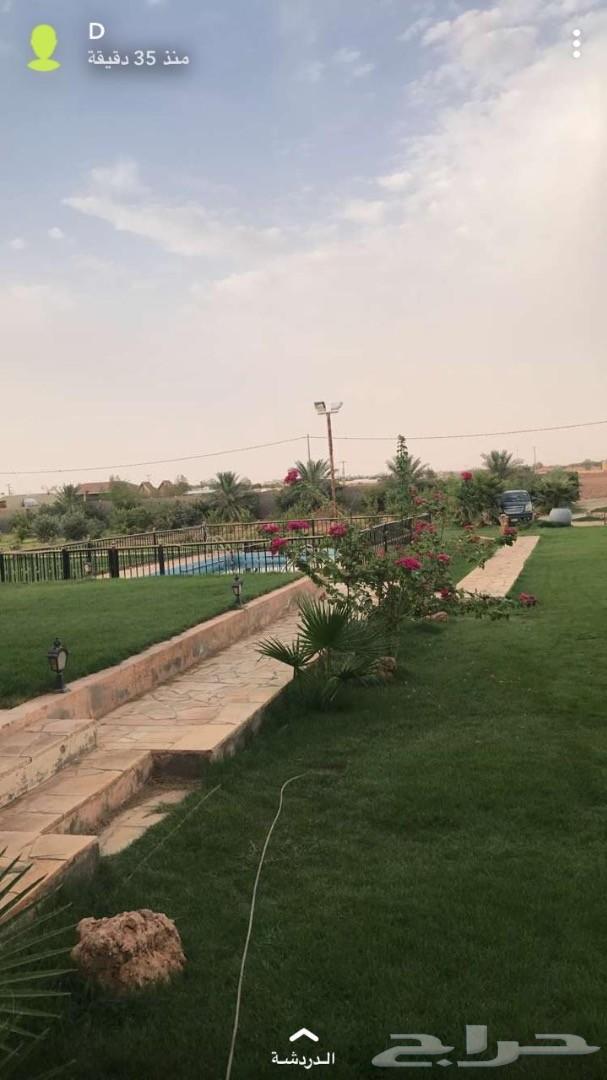 استراحه بتبراك تبعد عن كبري تبراك 300 متر