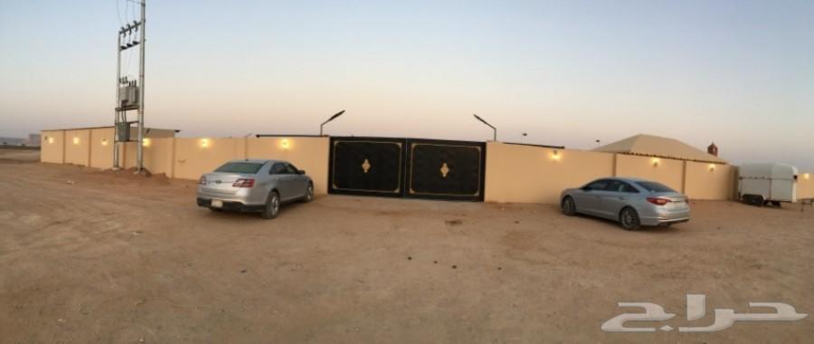 اسطبل خيل للايواء الشهري في المزاحمية