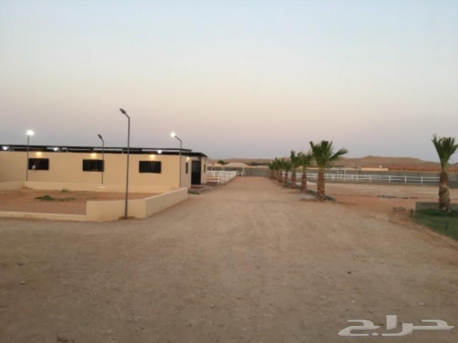 اسطبل خيل للايواء الشهري في المزاحمية