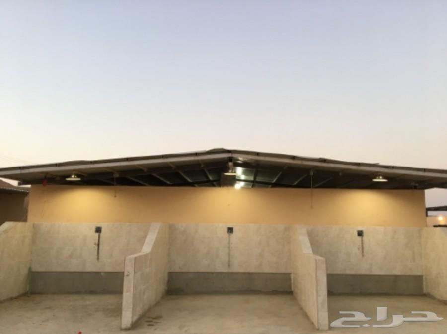 اسطبل خيل للايواء الشهري في المزاحمية