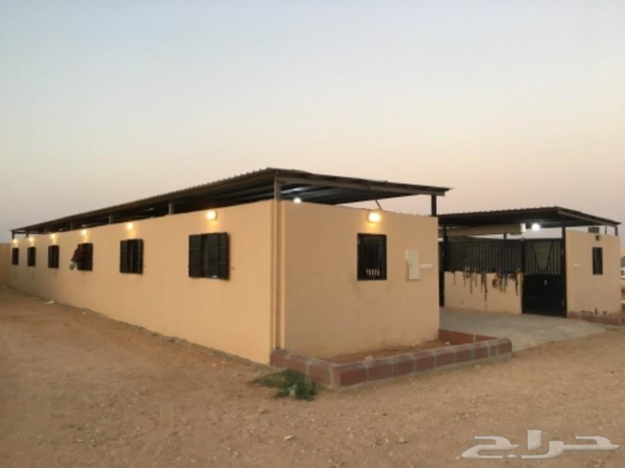 اسطبل خيل للايواء الشهري في المزاحمية