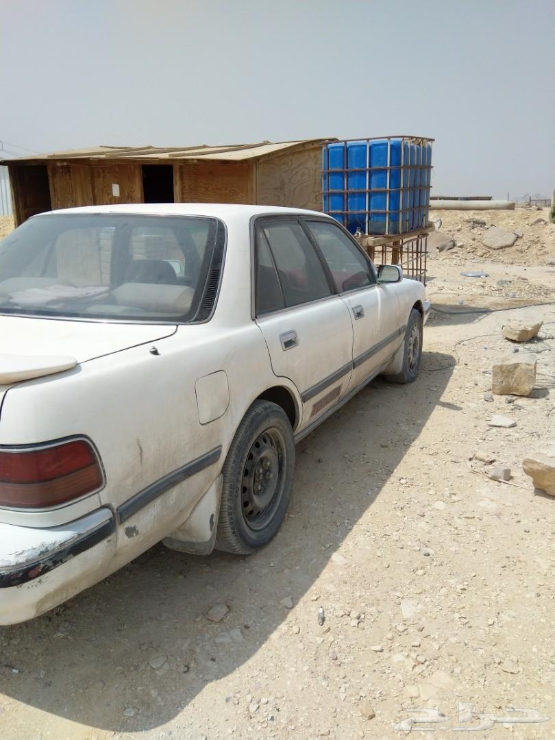 كرسيدا