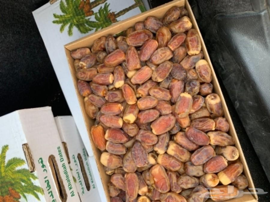 صقعي الخرج ذهب ذهب نوعيه ممتازه