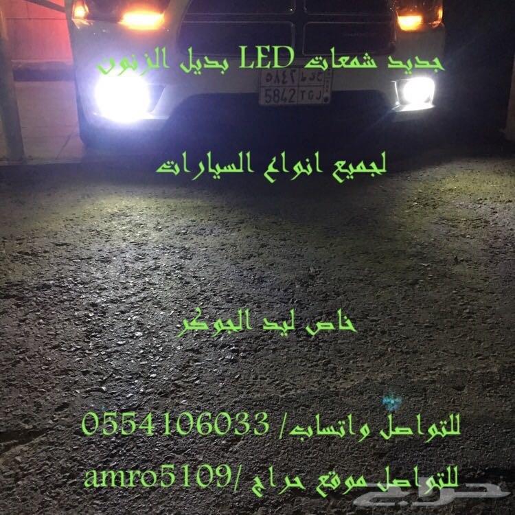 بديل الزينون ليد