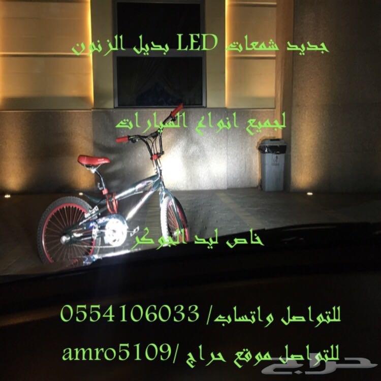 بديل الزينون ليد