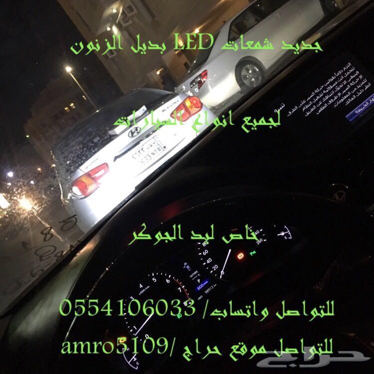 بديل الزينون ليد