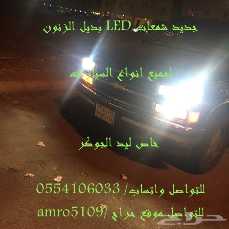 بديل الزينون ليد