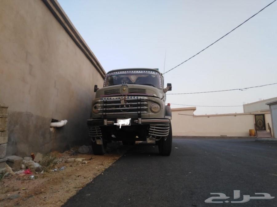وايت بوز 79