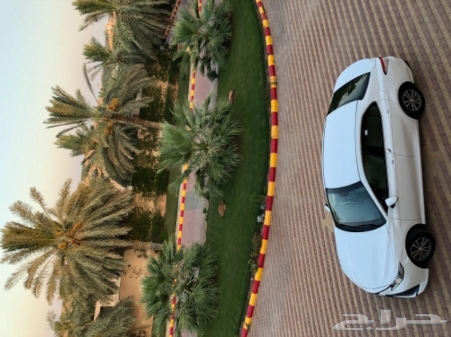 كامري 2019 بريمي اخت الجديدة