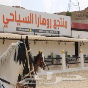 ارض مساحة 5400 م قبل كوبري الصيانه للبيع