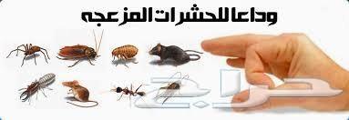 مكافحة حشرات مكافحة صراصير نمل فئران وزغ