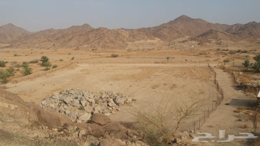 ارض في الجعرانه مساحتها 6500