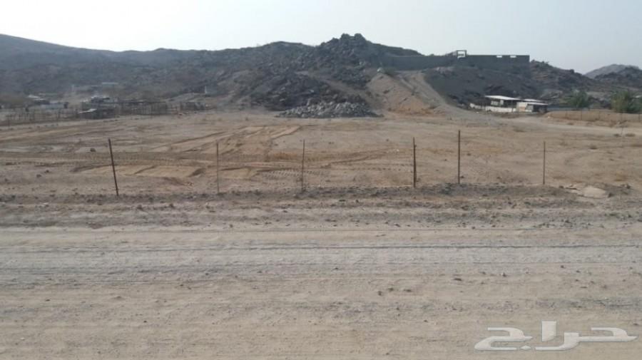 ارض في الجعرانه مساحتها 6500