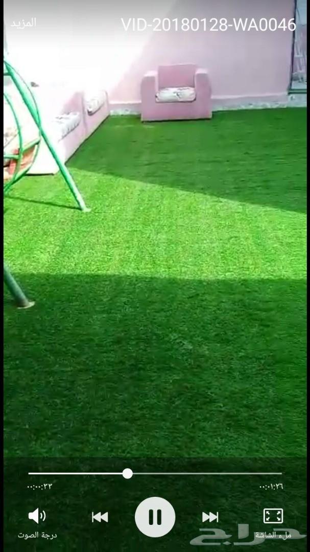 استراحة للايجار مسبح سخانات ملعب صابوني مجانا