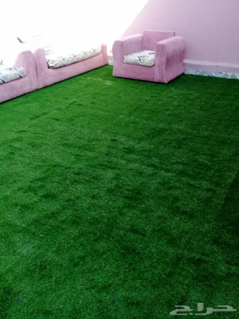استراحة للايجار مسبح سخانات ملعب صابوني مجانا