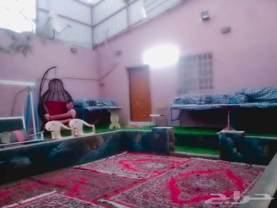 استراحة للايجار مسبح سخانات ملعب صابوني مجانا