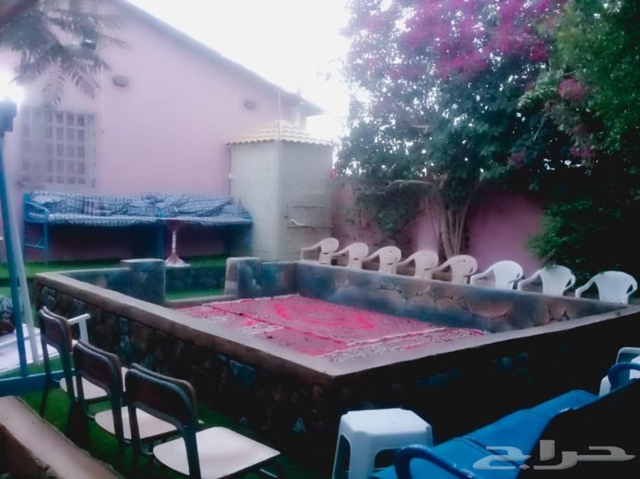 استراحة للايجار مسبح سخانات ملعب صابوني مجانا