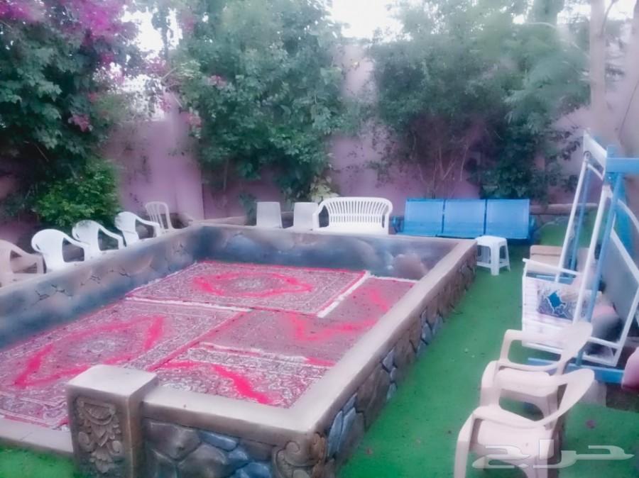 استراحة للايجار مسبح سخانات ملعب صابوني مجانا