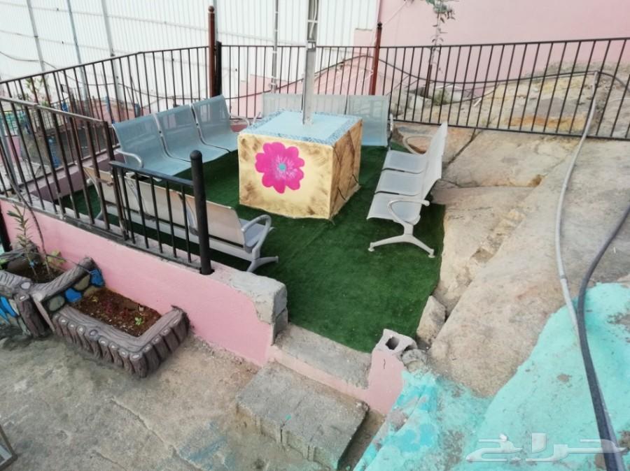 استراحة للايجار مسبح سخانات ملعب صابوني مجانا