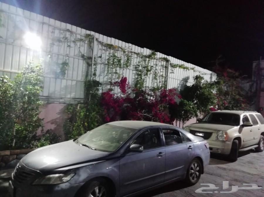 استراحة للايجار مسبح سخانات ملعب صابوني مجانا