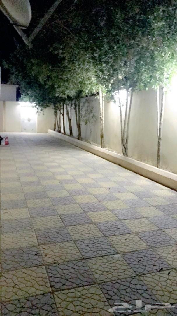 استراحة للايجار